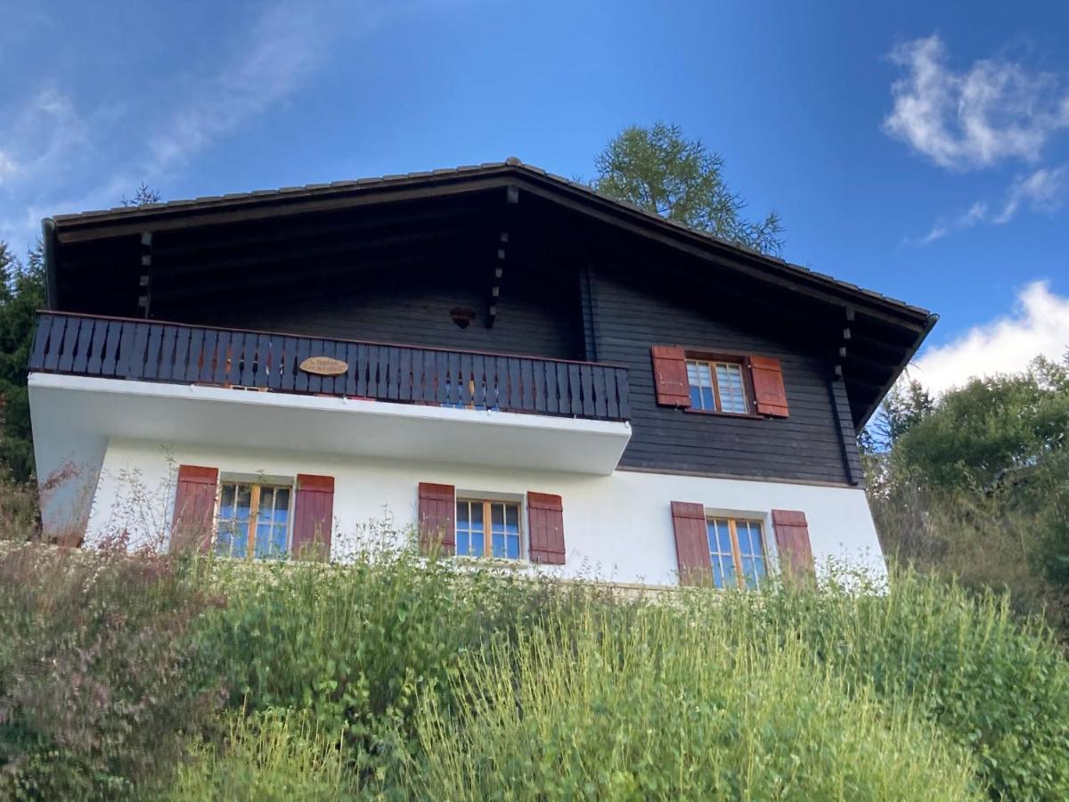 Chalet Chalet 1627 By Interhome Moleson Exteriör bild